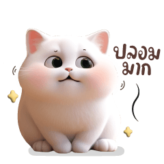 Cat White Chubby Cute V.2