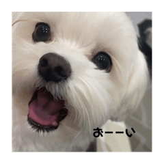 melon_20230916000250