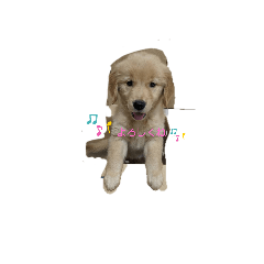 hana_20230916135332