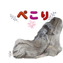Suzu_20230916141749