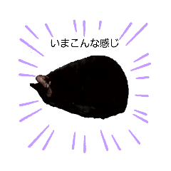 Momokou_20230916163112