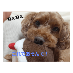 KANA_20230916161741