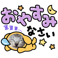melon_20230916205639