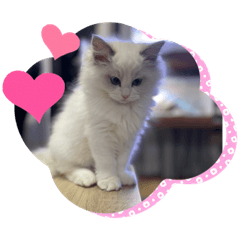 sayuri_20230917000746