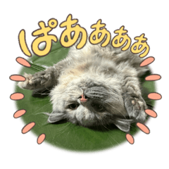 yuka_20230917005138