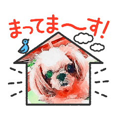 sakura_20230917021737