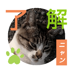 roko_20230917043645sava