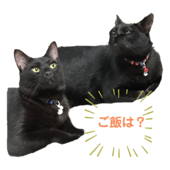 natsumi_20230917100447