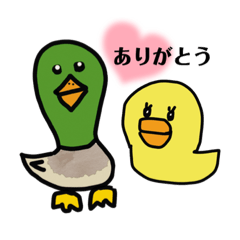 MICHIKO_20230917104249