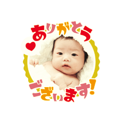 yayoi_20230917115904