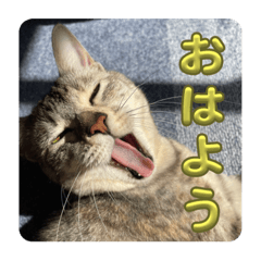 riri_20230917120401