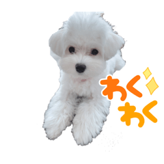 omochi_20230917013243