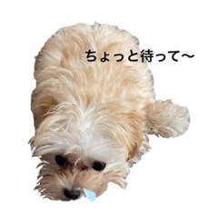 kana_20230917124047