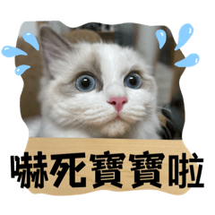 Taiwanese Animal Fun Stickers 2024