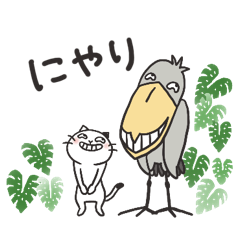 Shoebill and  cat  : Daily use