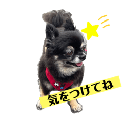 suzu_20230917133733