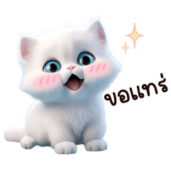 Ginkgo cute cat