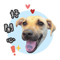 我是哈魯