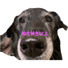 SAKURA_20230917145943