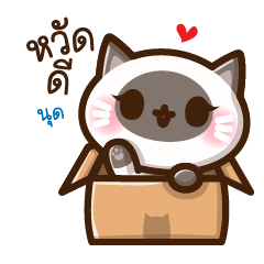 KaiMook Siamese Cat