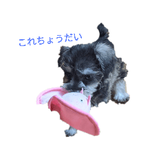 kenichi1_20230917180851