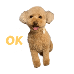 mmkkmt_20230917211450
