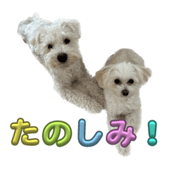 Kosuke_20230917201733