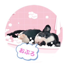 suzu_20230917141428