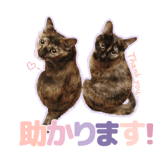 Sakura_20230917220627