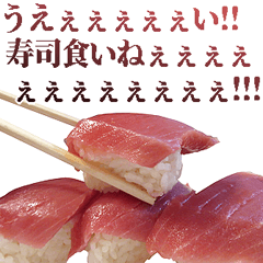 Excited high tension Sushi