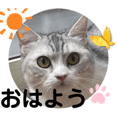 NAO_20230917182020