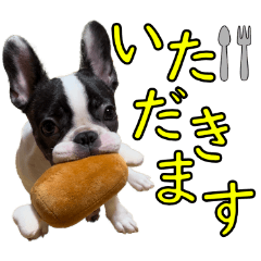 french bull Puruta's multi-purpose stamp