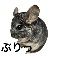 sakuniki_20230917201035