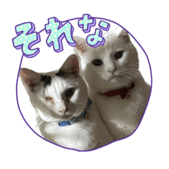 natsumi_20230917233403