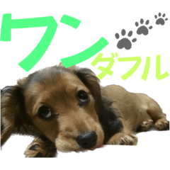 yuka_20230918084513