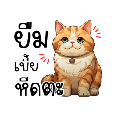 Cute orange cat southern language