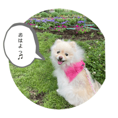 pome Hana