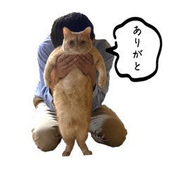 sakura_20230918144926