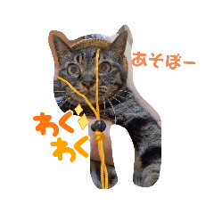 hana_20230918021443