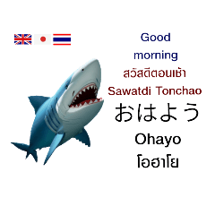 Japan+Thai+Englis