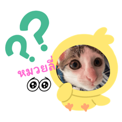 Sunny_20230918155320