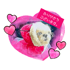 sakura_20230918161247