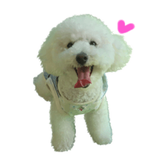 nao_20230918175104