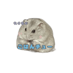 NebarinCHO_20230918175703