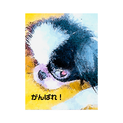 sakura_20230918174745