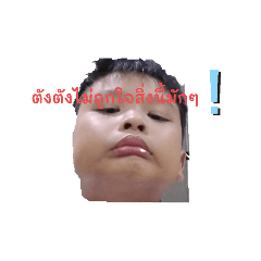 ตังตังไม้ถูกใจ