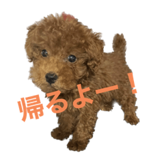 omochi_20230918221841