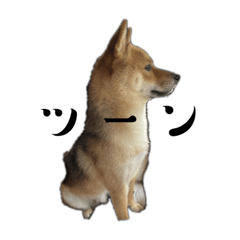 mameshibakotetsuno stamp