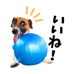 JRT Fuji kun