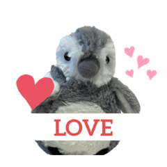 Fluffy penguin-penpen-